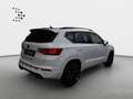CUPRA Ateca Limited Edition 2.0 TSI *NAVI*Brembo*AHK*K Weiß - thumbnail 20