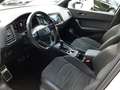 CUPRA Ateca Limited Edition 2.0 TSI *NAVI*Brembo*AHK*K Weiß - thumbnail 21