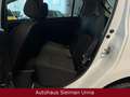 Dacia Sandero II Access 1,0/Servo/Tüv-Neu Weiß - thumbnail 17