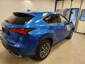 Lexus NX 300 NX I 2018 300h 2.5 Executive 4wd cvt Blu/Azzurro - thumbnail 5