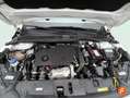 Opel Corsa 1.5D DT 74kW (100CV) Edition Azul - thumbnail 19