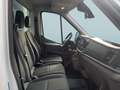 Ford 350 L4 Trend Kofferaufbau mit Ladebordwand Blanc - thumbnail 8