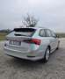 Skoda Octavia Wagon 2.0 tdi evo Executive 116cv dsg Grigio - thumbnail 8