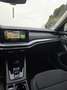 Skoda Octavia Wagon 2.0 tdi evo Executive 116cv dsg Grigio - thumbnail 11