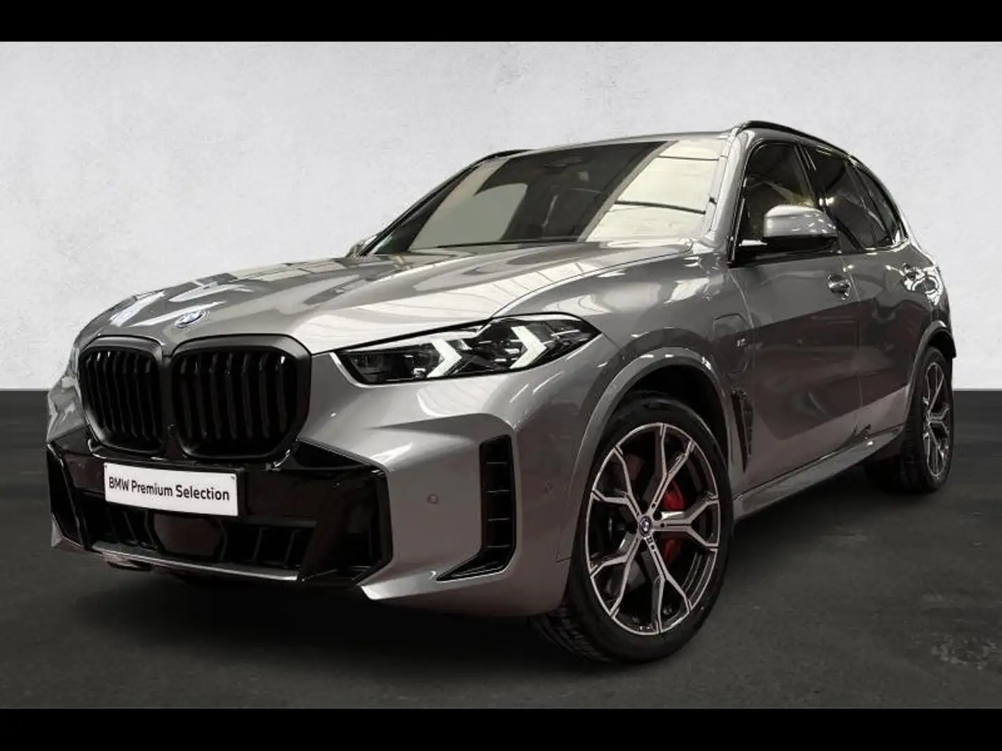 BMW X5 M Sport-Pano-SoftClose-360° Gris - 1