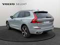 Volvo XC60 T8 Ultimate Dark / Hybride Gris - thumbnail 5