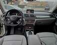 Audi Q3 2.0 tdi ADV PLUS QUATTRO 177cv STRONIC FINANZIA Blanc - thumbnail 8