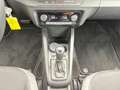 Skoda Fabia Combi Ambition 1.0 TSI DSG v+h SmartLink Blau - thumbnail 14