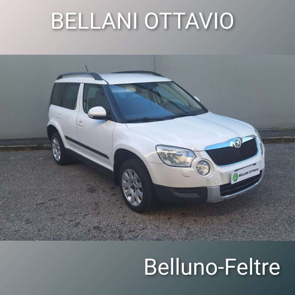 Skoda Yeti 2.0 TDI CR 110CV 4x4 Adventure