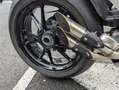Triumph Speed Triple 1200 RR - thumbnail 5