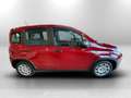 Fiat Panda Serie 7 1.0 70cv HybridPanda Rouge - thumbnail 4