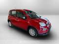 Fiat Panda Serie 7 1.0 70cv HybridPanda Rouge - thumbnail 3