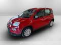 Fiat Panda Serie 7 1.0 70cv HybridPanda Rouge - thumbnail 1