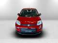 Fiat Panda Serie 7 1.0 70cv HybridPanda Rouge - thumbnail 2
