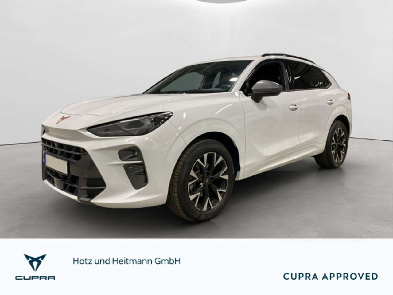 Cupra Terramar 2025