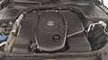 Mercedes-Benz S 350 350 d Premium 4matic lunga auto Nero - thumbnail 14