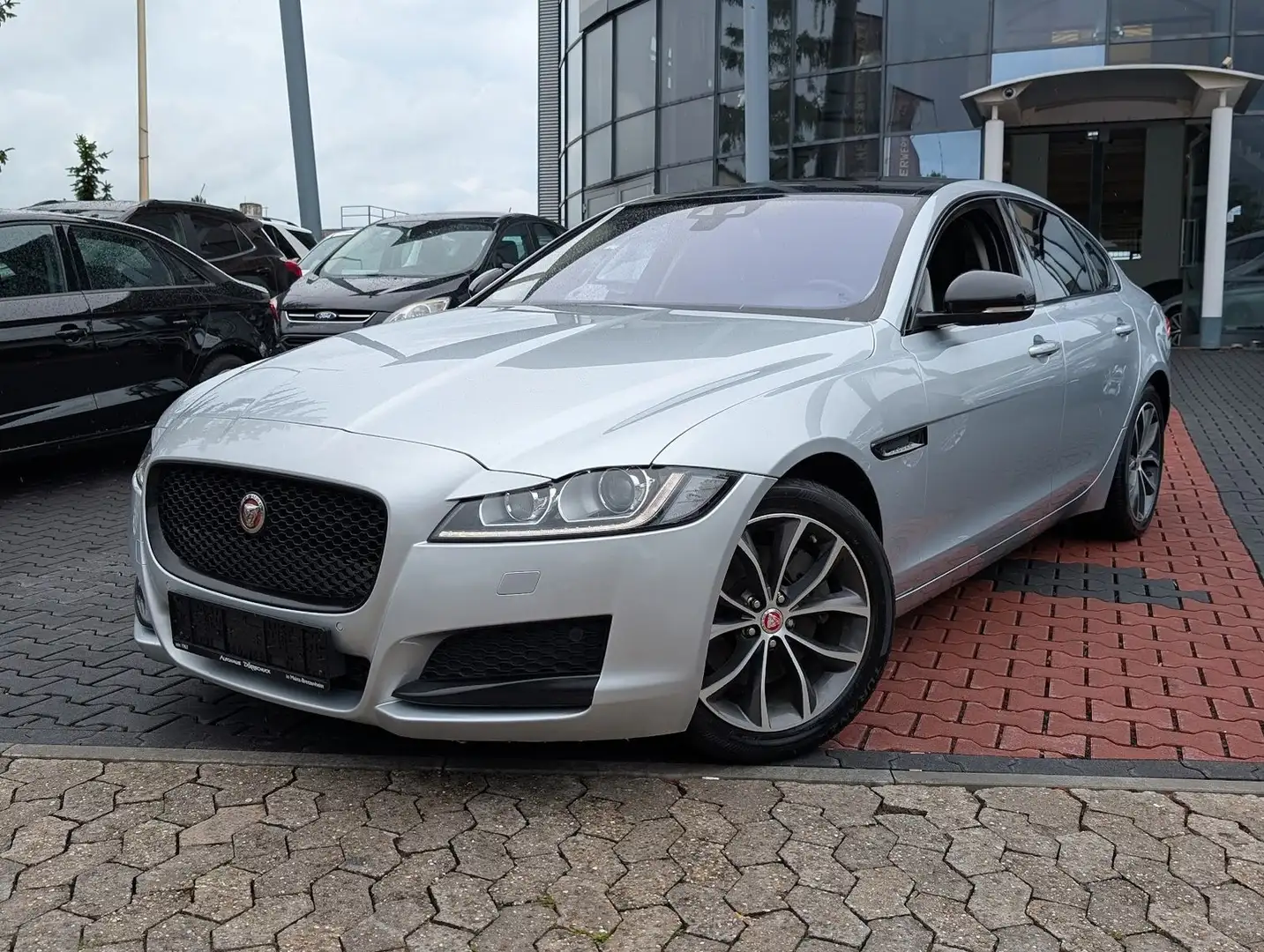 Jaguar XF 20d VOLLEDER Bi-Xenon. Navi **ESPRESSO** Plateado - 2