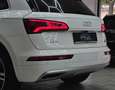 Audi Q5 2,0 TDI quattro sport S-tronic *S-Line*MATRIX L... Weiß - thumbnail 9