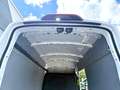 Ford Transit Kasten350 L3H3 Trend/SYNC4/360"Kamera bijela - thumbnail 11