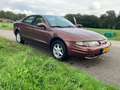 Chevrolet Alero 3.4 V6 Automaat Braun - thumbnail 11