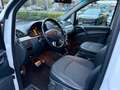 Mercedes-Benz Viano CDI Trend Edition kompakt Auto. *7 Sitzer Alb - thumbnail 14