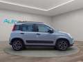 Fiat Panda Panda III 2021 1.0 firefly hybrid City Life s Gris - thumbnail 4