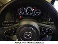 Mazda CX-60 e-SKYACTIV-D 254 M HYBRID AWD HOMURA Navi Rot - thumbnail 11