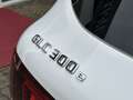 Mercedes-Benz GLC 300 300e 4MATIC Luxury | Panoramadak | Trekhaak Wit - thumbnail 19