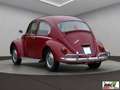 Volkswagen Maggiolino 1.2 6 volt    VETRO PIATTO Rood - thumbnail 2