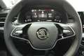 Skoda Kamiq Selection, Rückfahrkamera, DAB, Tageszulassung Gris - thumbnail 12