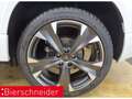 CUPRA Ateca 2.0 TSI DSG 4Dr AHK NAVI REAR VIEW SHZ Weiß - thumbnail 9