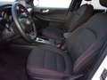 Ford Kuga 2.5 Duratec FHEV ST-Line 4x2 Aut. Blanco - thumbnail 4