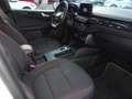 Ford Kuga 2.5 Duratec FHEV ST-Line 4x2 Aut. Blanco - thumbnail 11