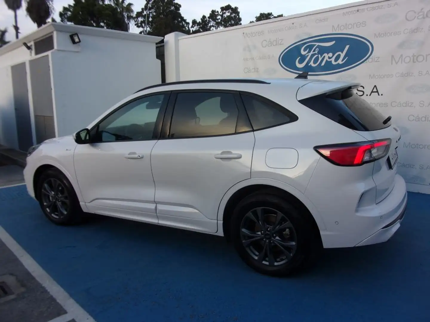 Ford Kuga 2.5 Duratec FHEV ST-Line 4x2 Aut. Blanco - 2