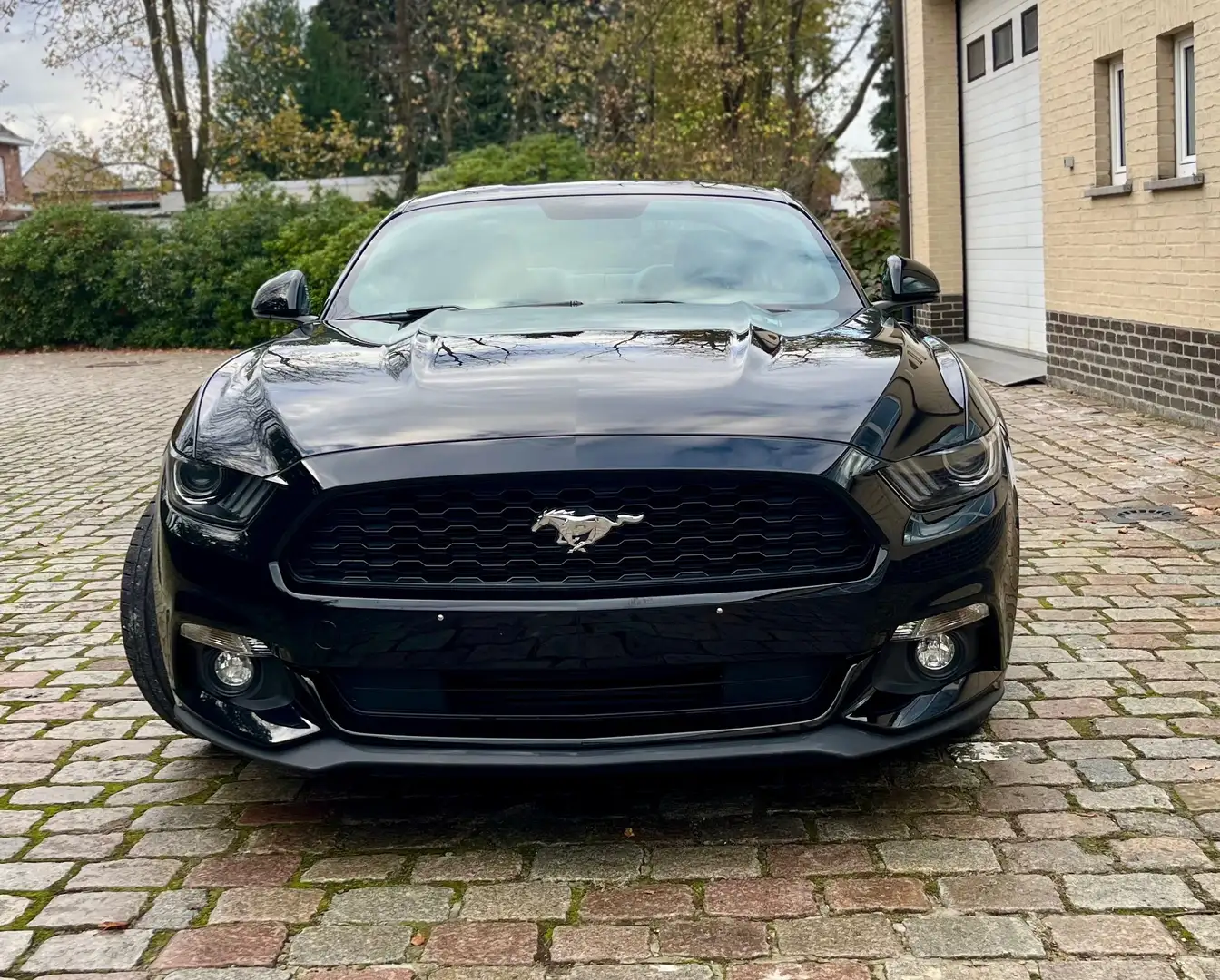 Ford Mustang 2.3 EcoBoost Automaat ### 49000 km ### Noir - 2