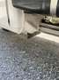Piaggio Ape APE TM 703 Benzin, Koffer Weiß - thumbnail 18