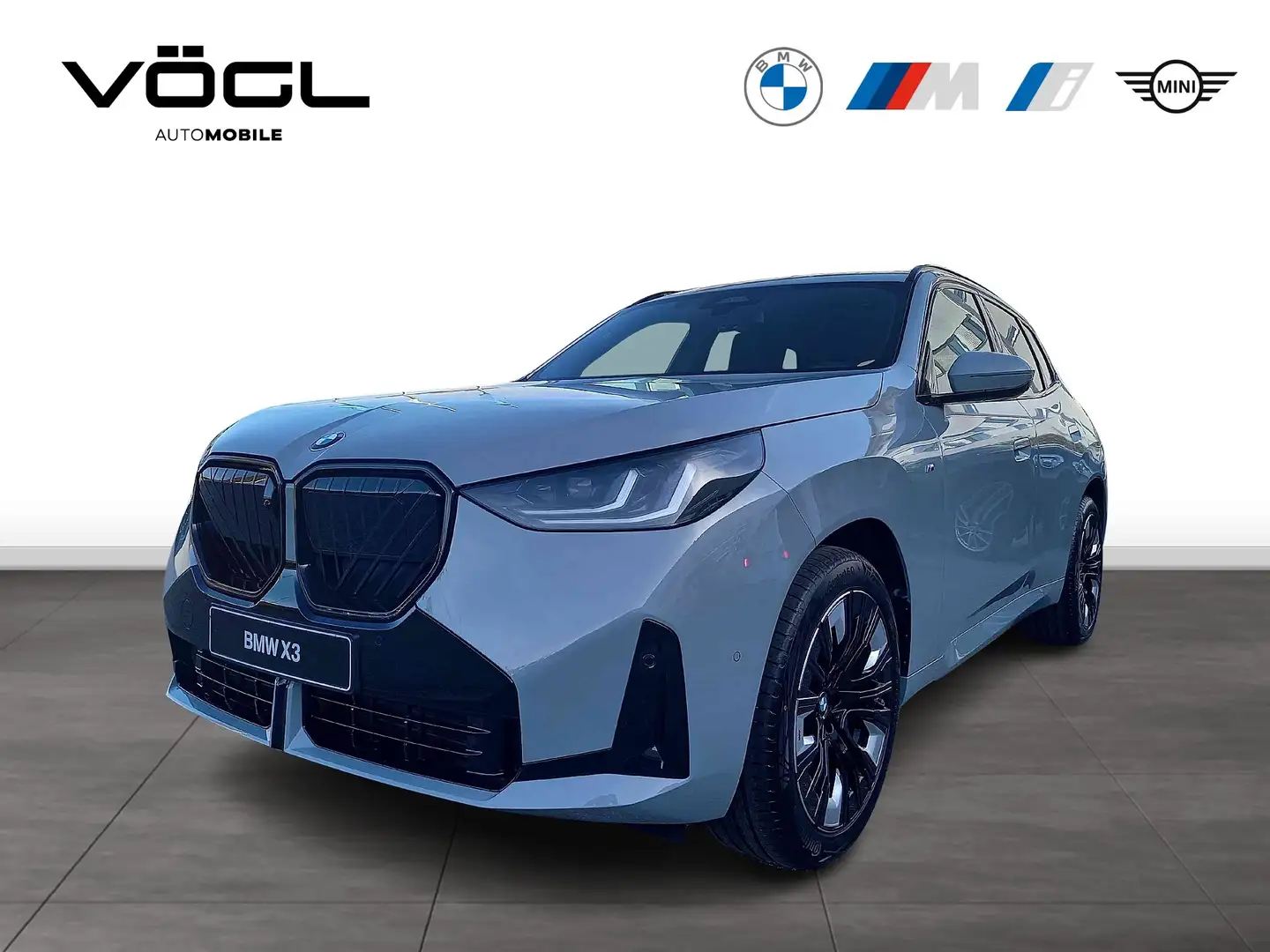 BMW X3 20d xDrive M Sportpaket HK HiFi DAB LED RFK Grau - 1