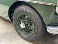 MG MGB Roadster Trade-in-car PRICE REDUCTION! Restored co Green - thumbnail 27