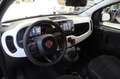 Fiat Panda 1.0 FireFly S&S Hybrid Pandina Noir - thumbnail 9