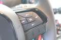 Fiat Panda 1.0 FireFly S&S Hybrid Pandina Noir - thumbnail 11