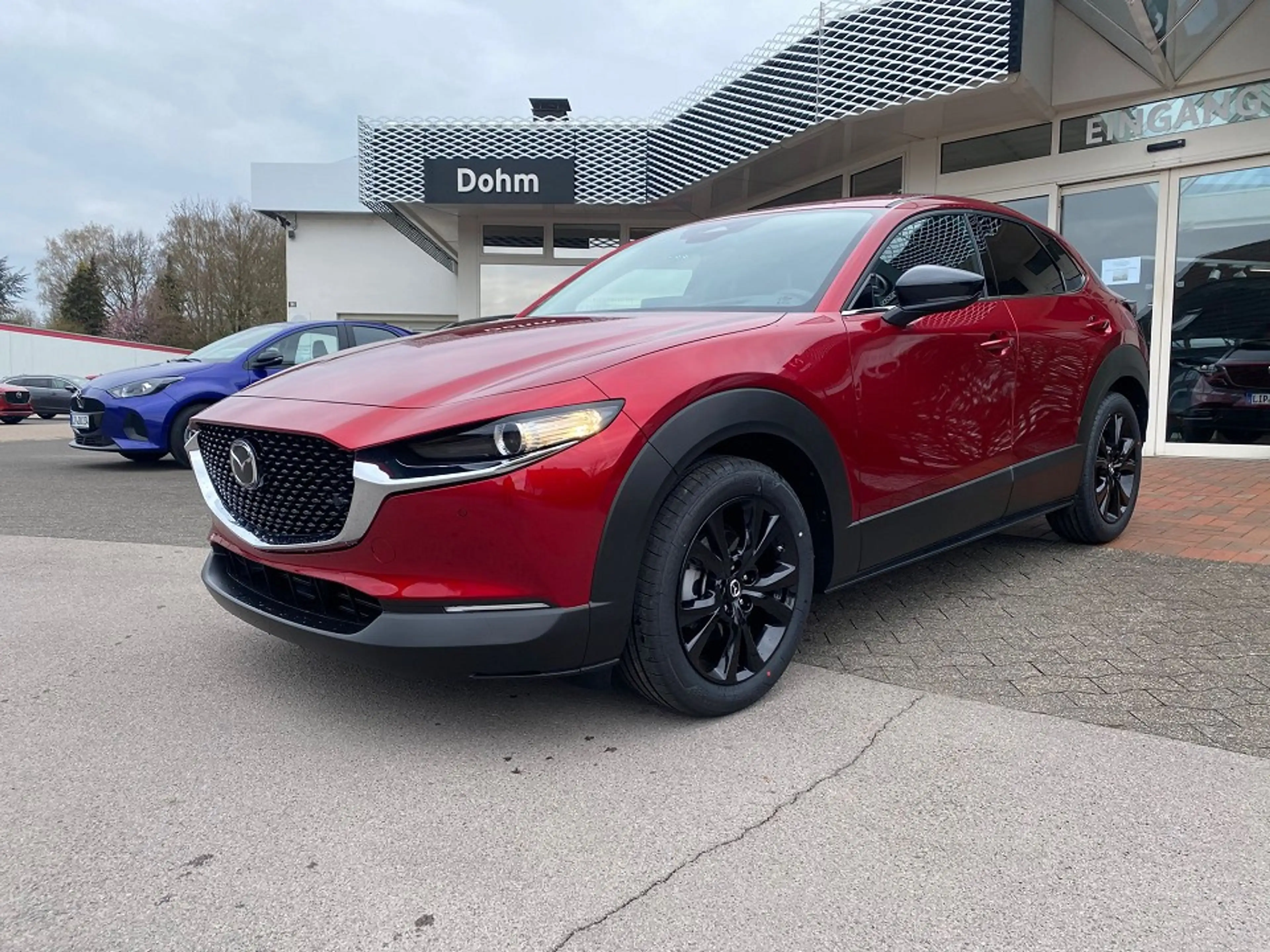 Mazda CX-30 2.5L e-SKYACTIV G Homura — photo 2