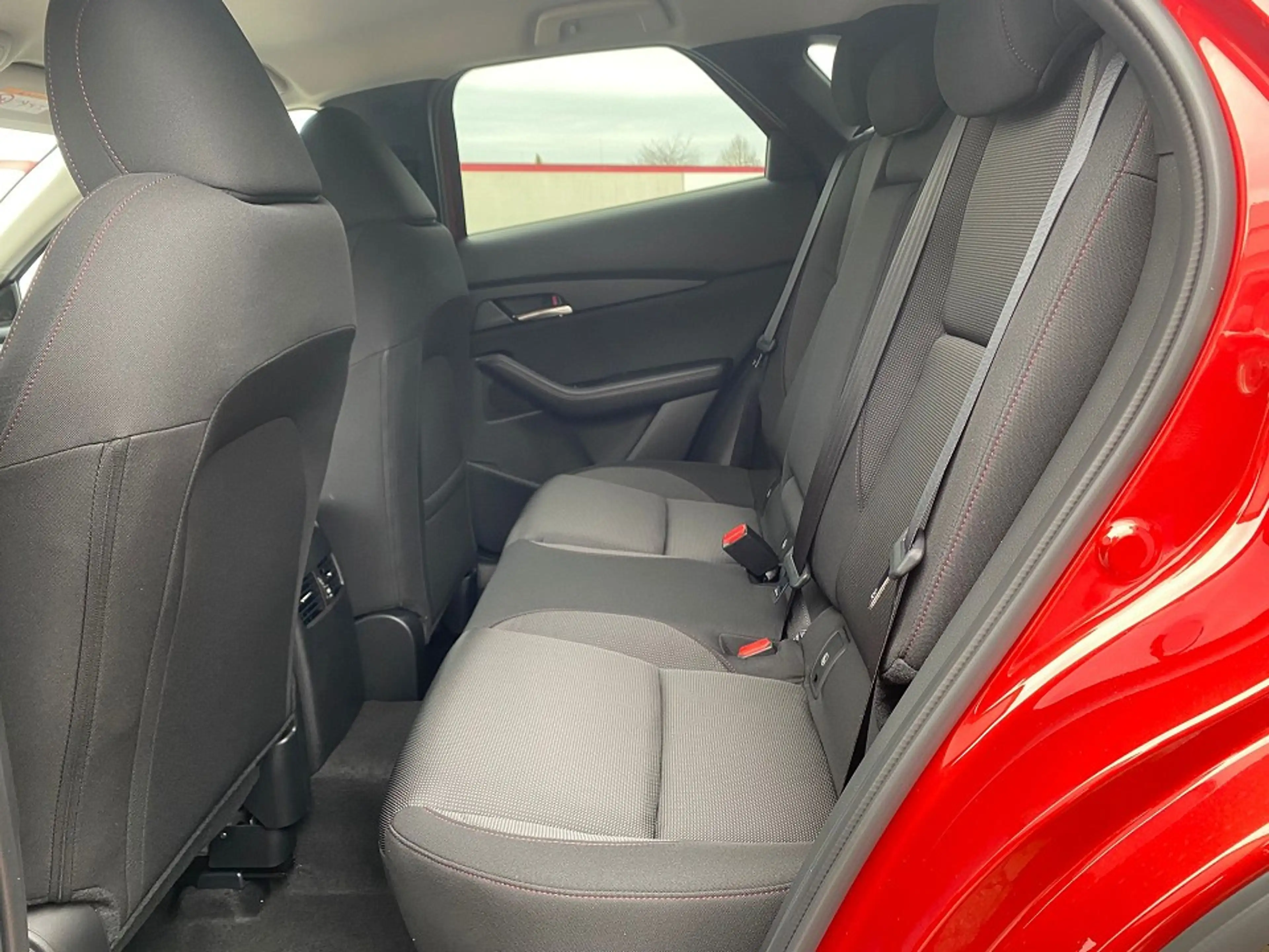 Mazda CX-30 2.5L e-SKYACTIV G Homura — photo 10