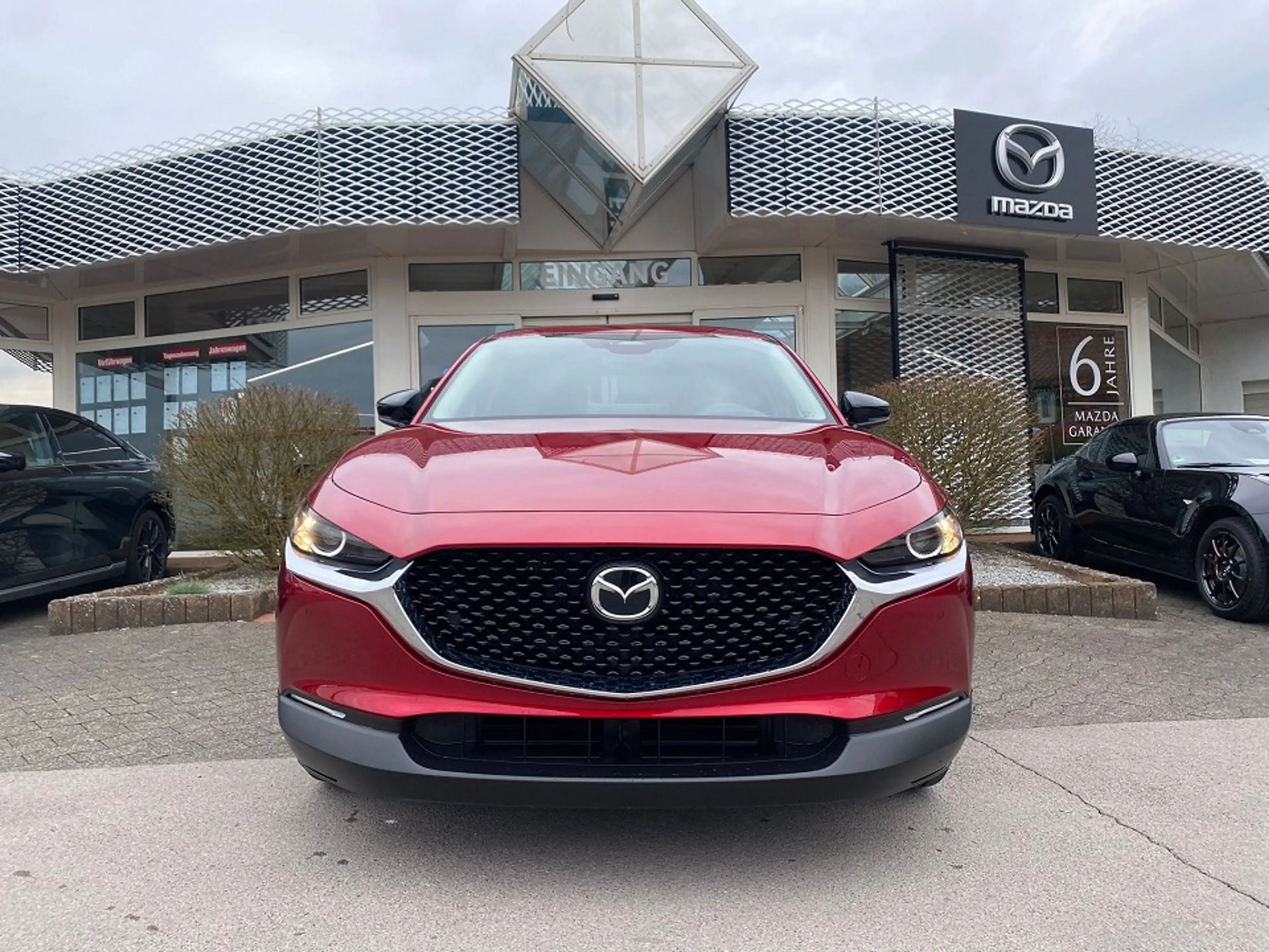 Mazda CX-30 2.5L e-SKYACTIV G Homura — photo 4