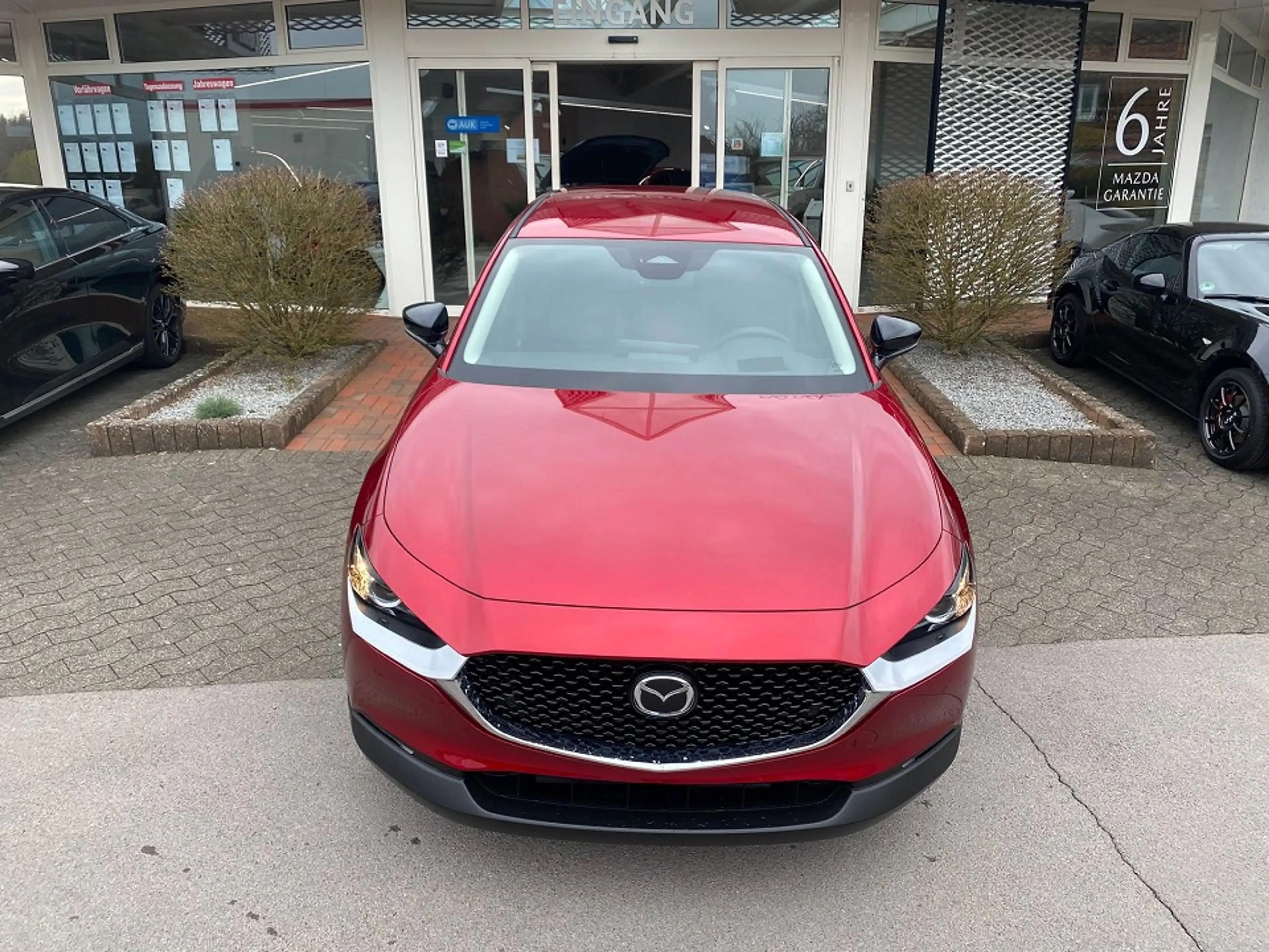 Mazda CX-30 2.5L e-SKYACTIV G Homura — photo 3