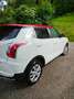 SsangYong Tivoli Tivoli weiß mit rotem Dach Weiß - thumbnail 5