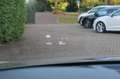 Audi Q5 3.0 TFSI SQ5 quattro Pro Line Plus BOMVOL Grau - thumbnail 14