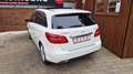 Mercedes-Benz B 220 CDI 4Matic, Panorama, Navi, Kamera Blanc - thumbnail 6