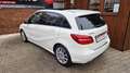 Mercedes-Benz B 220 CDI 4Matic, Panorama, Navi, Kamera Blanc - thumbnail 5