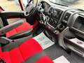 Fiat Ducato Hochr.-Kasten 33 115 Rot - thumbnail 15