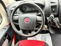 Fiat Ducato Hochr.-Kasten 33 115 Rot - thumbnail 18